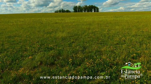 DOS EÓLICOS VIRA P FAZENDA_Moment.00_01_32_17.Quadro179_eed8676aa89fef6b03fa3d5b7e196b25f0b26742.jpg